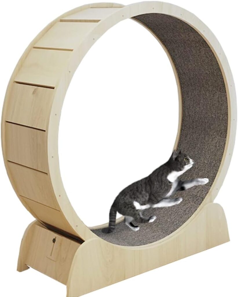 8 Insane Cat Products You Never Knew You Needed (Until Now!)