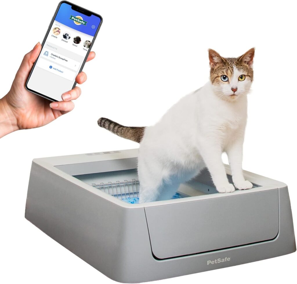 8 Insane Cat Products You Never Knew You Needed (Until Now!)