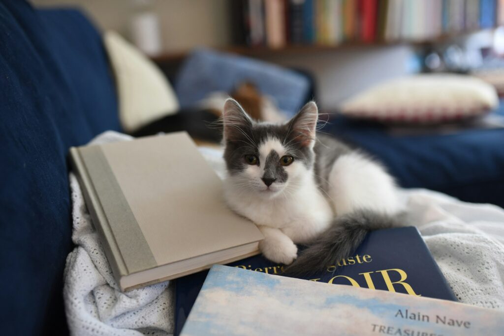 10 Famous Cat Moms Who Changed the World
