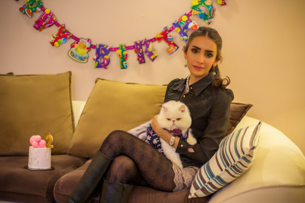 How to Throw the Purrfect Cat-Themed Party Without Losing Friends