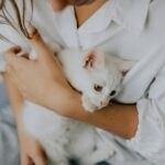 The Ultimate Cat Mom Bucket List: 15 Things You Must Do Before You Die