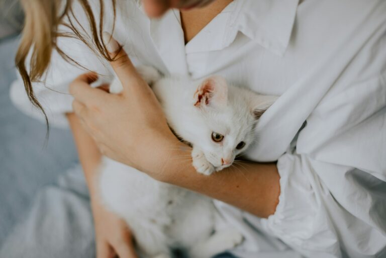 The Ultimate Cat Mom Bucket List: 15 Things You Must Do Before You Die
