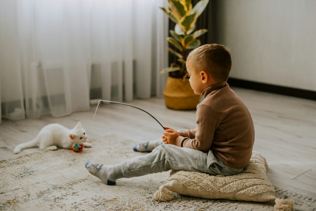 The Great Cat vs Baby Debate: Which One Wins? (Spoiler: It's Cats)