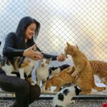 8 Outrageous Things Cat Moms Do That Normal People Just Don't Get