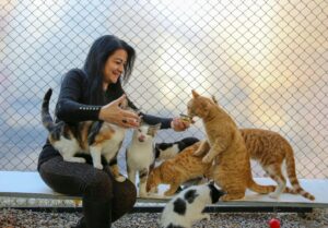 8 Outrageous Things Cat Moms Do That Normal People Just Don't Get