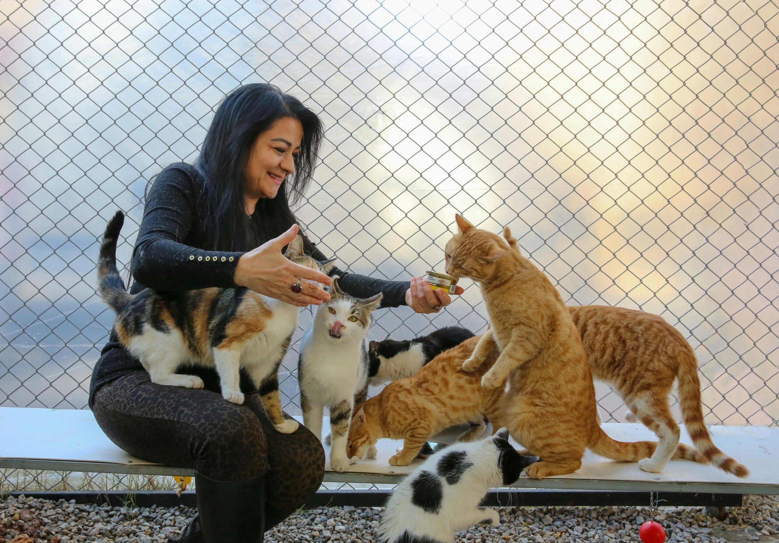8 Outrageous Things Cat Moms Do That Normal People Just Don't Get