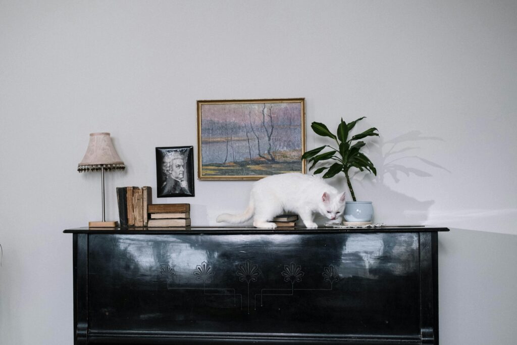 The Ultimate Cat vs Houseplant Smackdown: Who Will Win?
