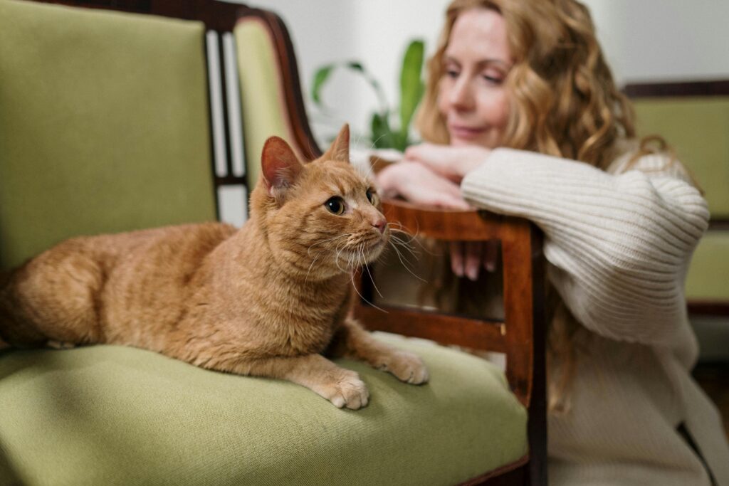 12 Things Only True Cat Moms Will Understand