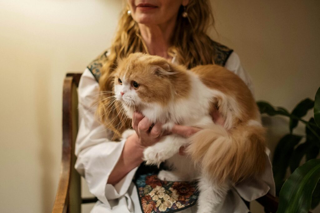 6 Incredible Ways Being a Cat Mom Improves Your Mental Health