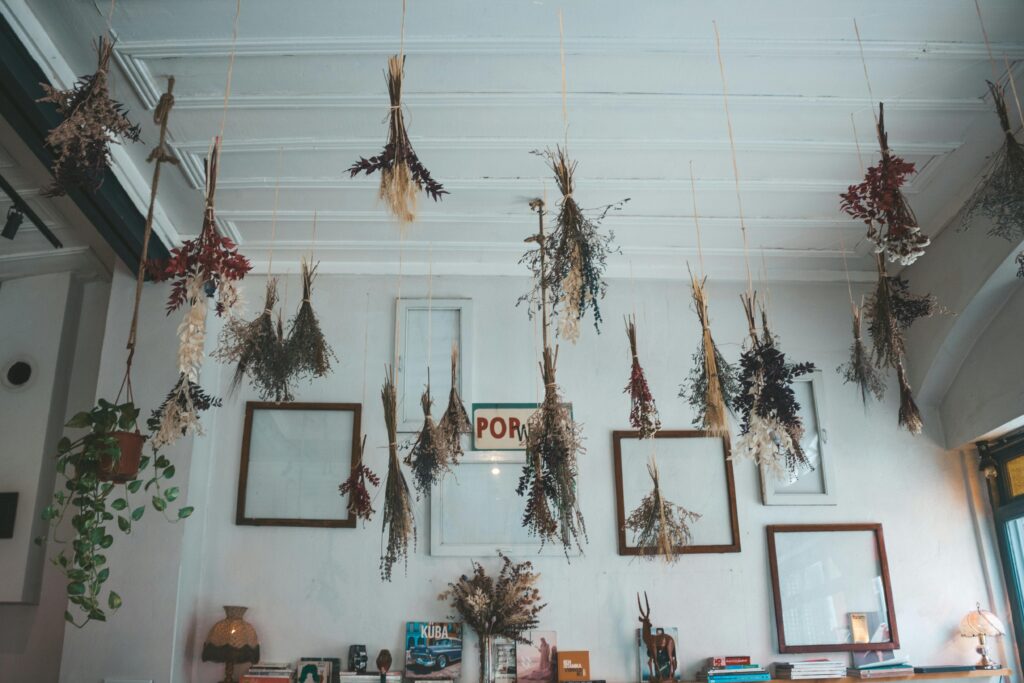 The Ultimate Guide to Cat-Proofing Your Home (And Sanity)