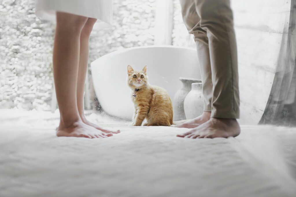 Why Men Who Love Cats Make the Best Partners: 6 Surprising Reasons
