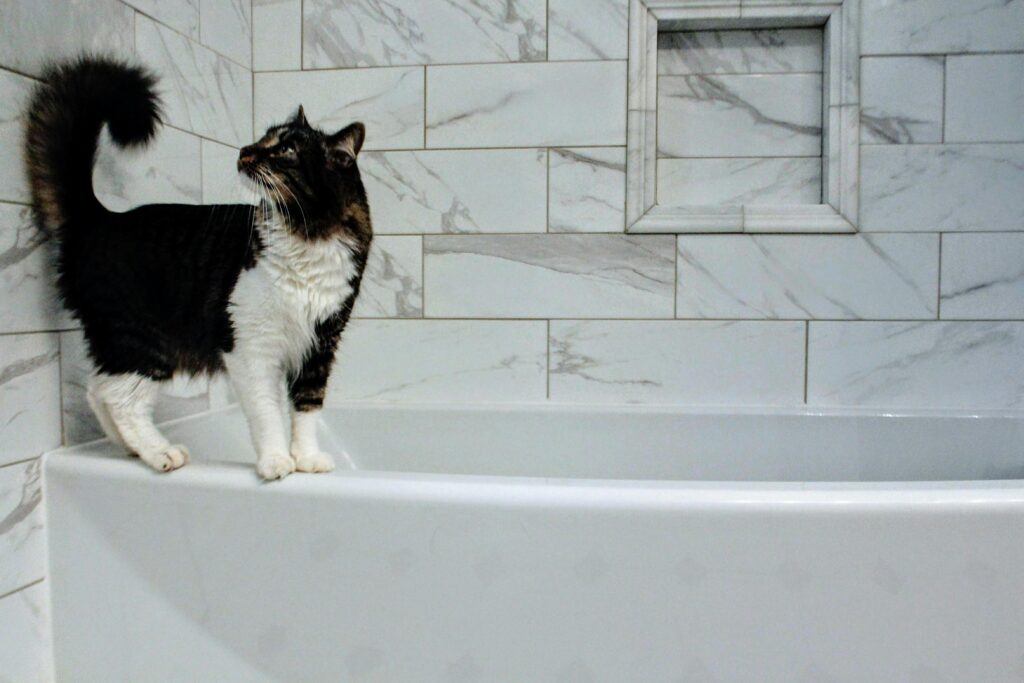12 Things Only True Cat Moms Will Understand
