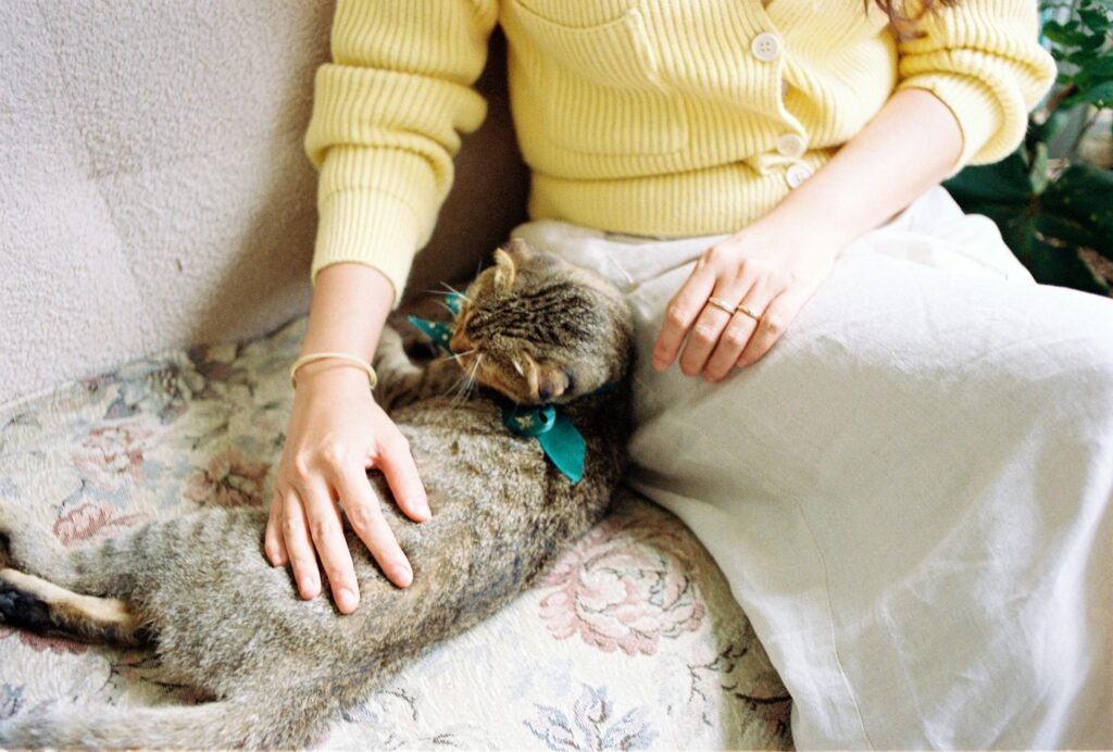 The Cat Mom Guide to Traveling: How to Vacation Without the Guilt