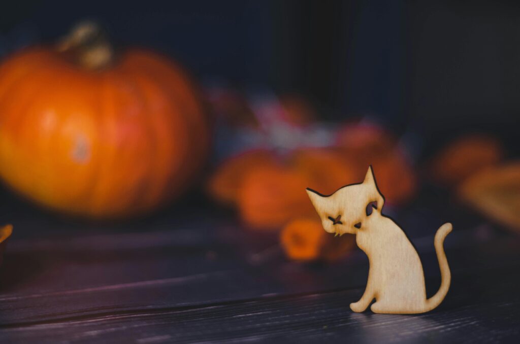 A small wooden cutout of a cat sits in focus on a dark wooden surface, with a blurred orange pumpkin and autumnal decorations in the background.