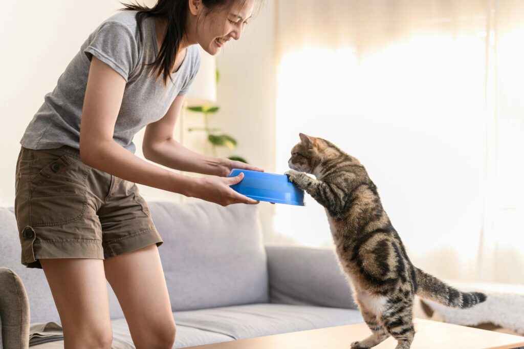 The Truth About Single Cat Moms: Why We're Happier Than Ever