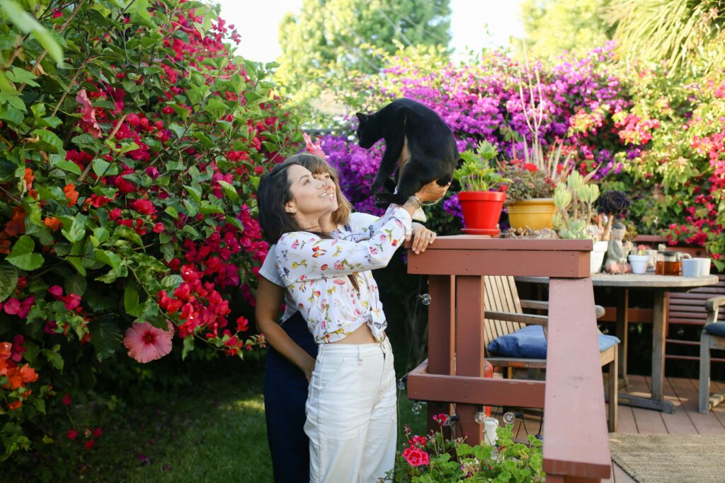 The Cat Mom's Survival Guide: 10 Tips for Living with Multiple Cats