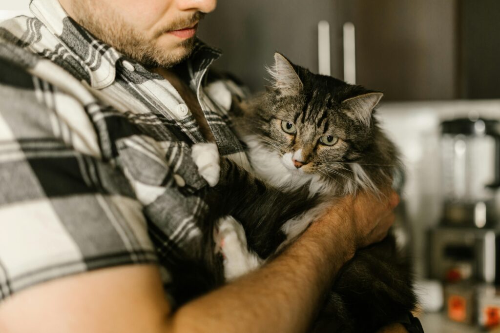 Why Men Who Love Cats Make the Best Partners: 6 Surprising Reasons