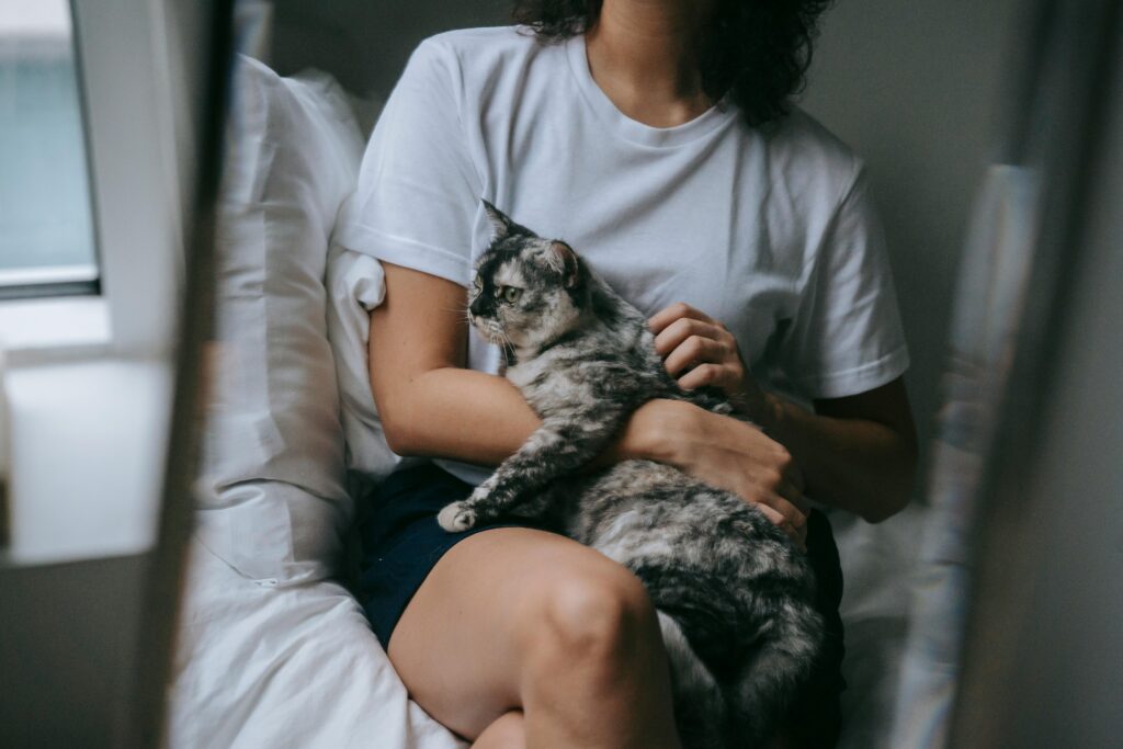 9 Hilarious Ways Cats Sabotage Your Love Life