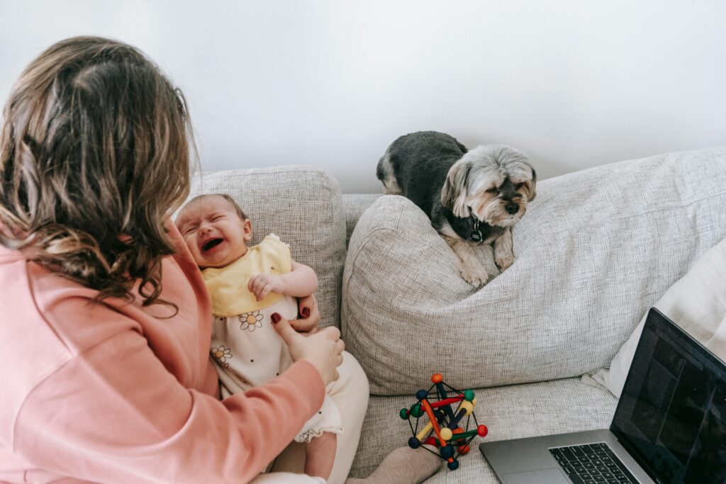 The Great Cat vs Baby Debate: Which One Wins? (Spoiler: It's Cats)