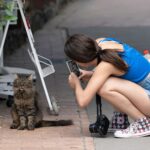 The Cat Mom's Guide to World Domination: How Felines Are Taking Over