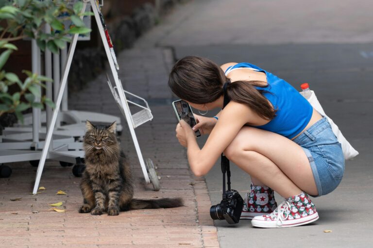 The Cat Mom's Guide to World Domination: How Felines Are Taking Over