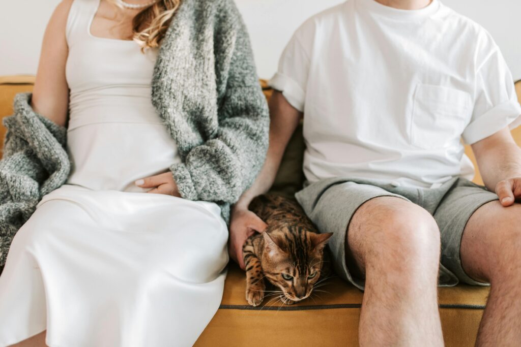9 Hilarious Ways Cats Sabotage Your Love Life