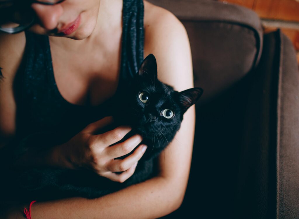 9 Reasons Why Being a Cat Mom Is Better Than Being a Millionaire