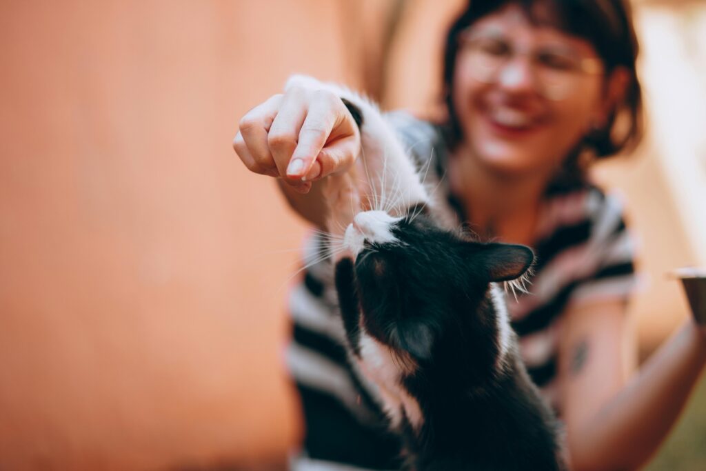 8 Crazy Cat Mom Habits That Are Actually Signs of Genius