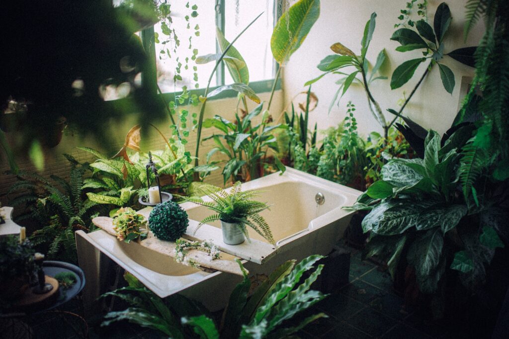 The Ultimate Cat vs Houseplant Smackdown: Who Will Win?
