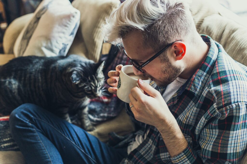 The Dark Side of Cat Ownership: 7 Truths No One Tells You