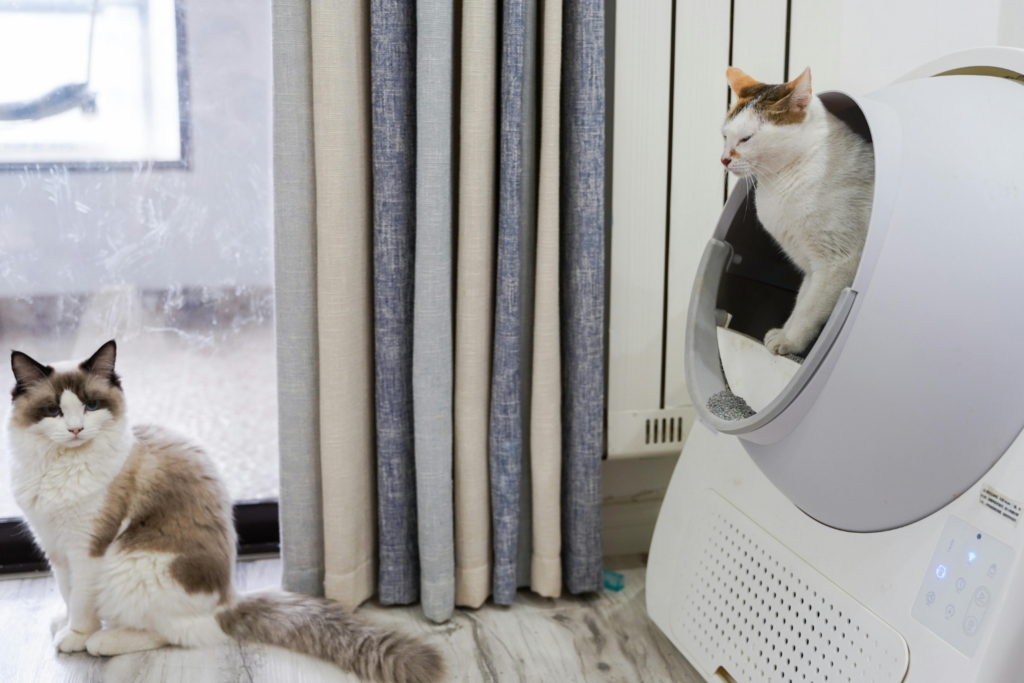 A white and brown cat sits by a window, while another white cat with orange markings is perched in a modern automatic litter box near a set of grey and beige curtains.