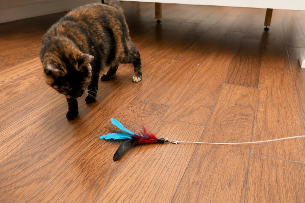 tortie cat interacts with the Meohui wand