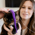Young woman and tortie cat and cat wand toy