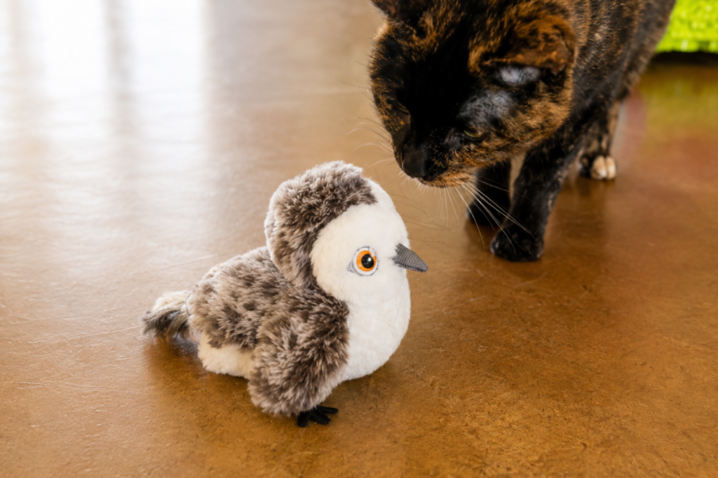 cat sniffs chirping bird toy
