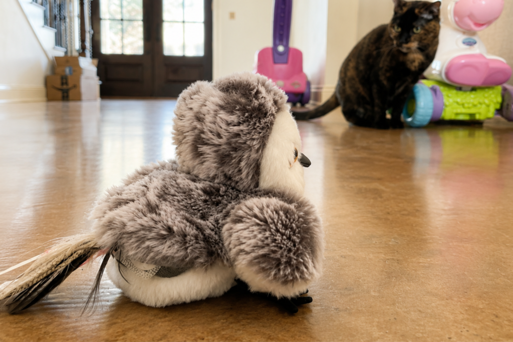 cat is unsure about chirping cat toy