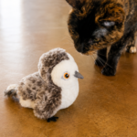 cat sniff's chirping bird toy