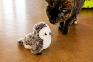 cat sniff's chirping bird toy